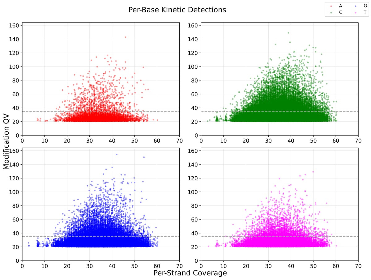 Gráfico de detecciones cinéticas por base del reporte de ejemplo: QV de modificación frente a cobertura por hebra en cuatro paneles para A, C, G y T, con una línea discontinua horizontal